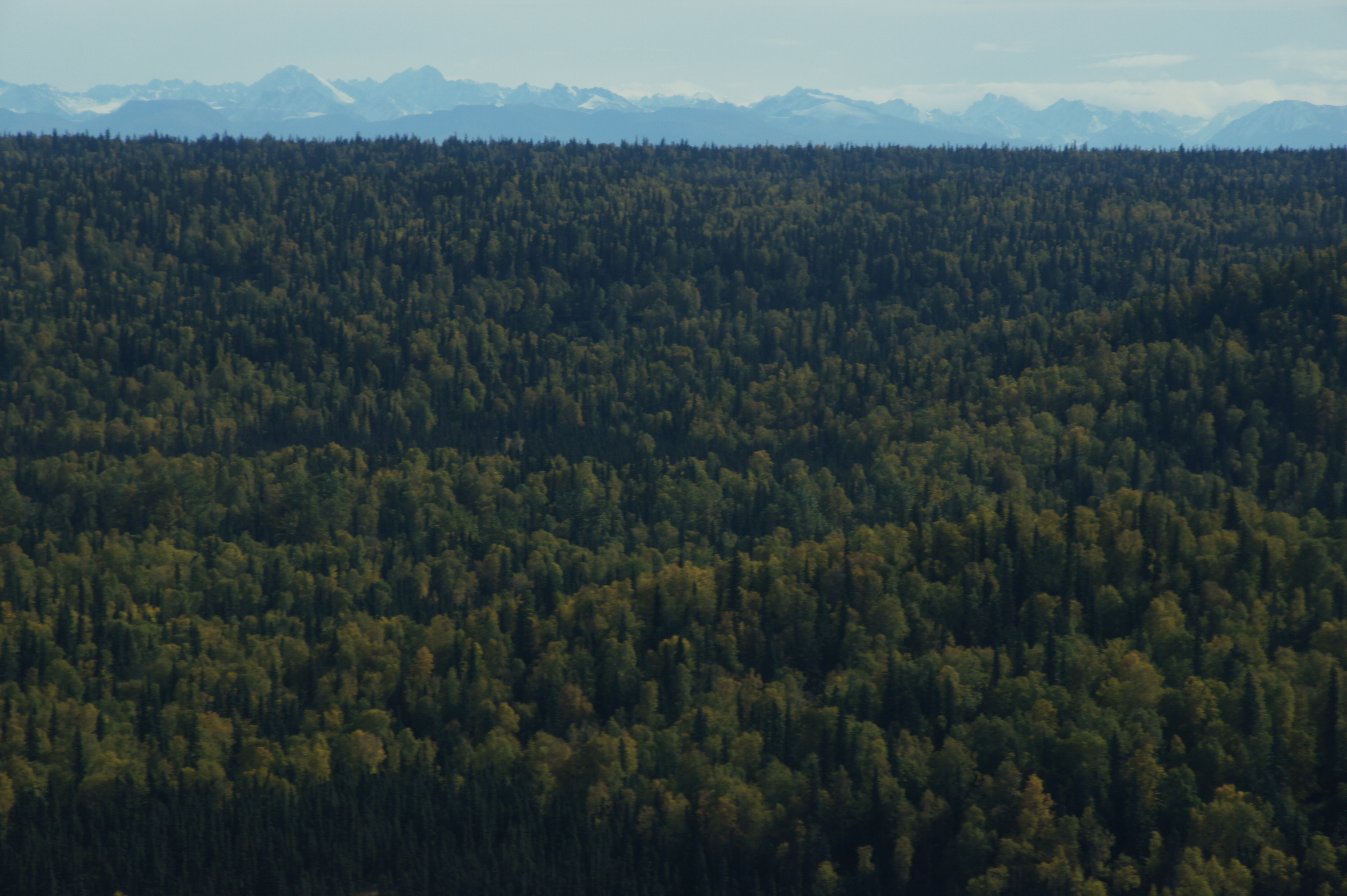 Click to return to the thumbnail index